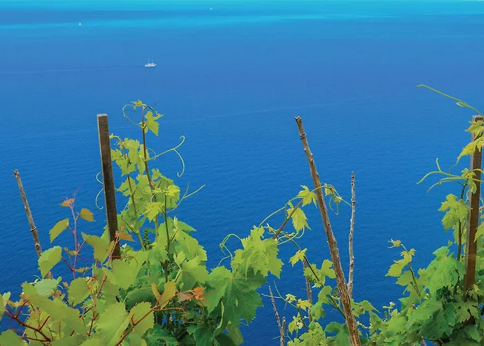 Lovely In With House Sea View Apartament