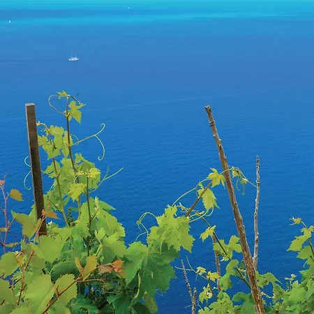 Lovely In With House Sea View Appartement